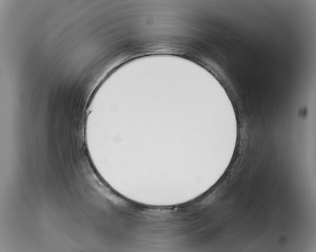 X0000114231236200911201102