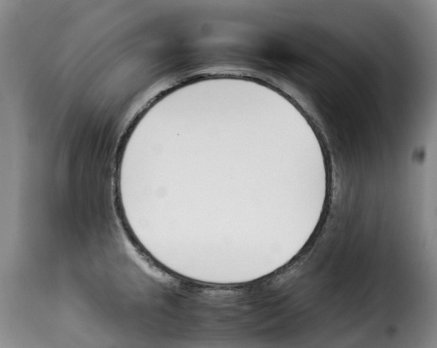 X0000114231237200911201102