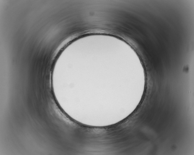 X0000114231238200911201102
