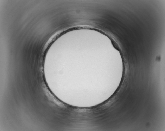 X0000114231240200911201102
