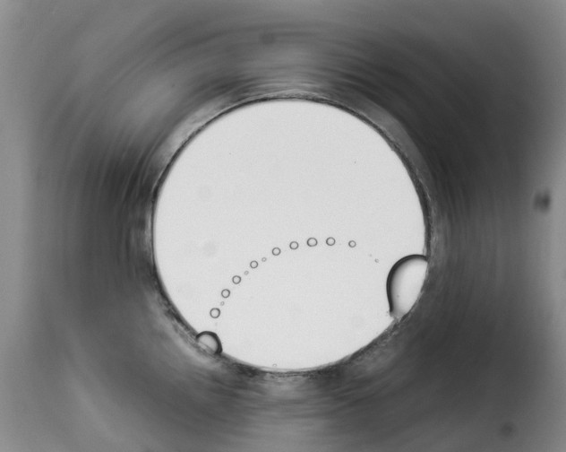 X0000114231242200911201102