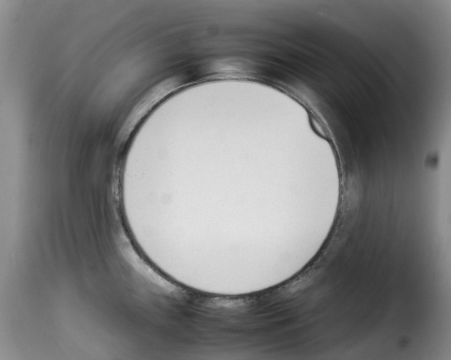 X0000114231243200911201102