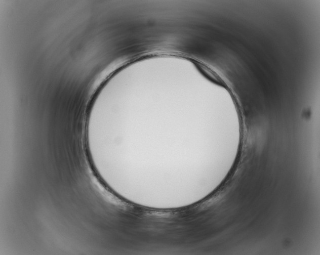 X0000114231245200911201102
