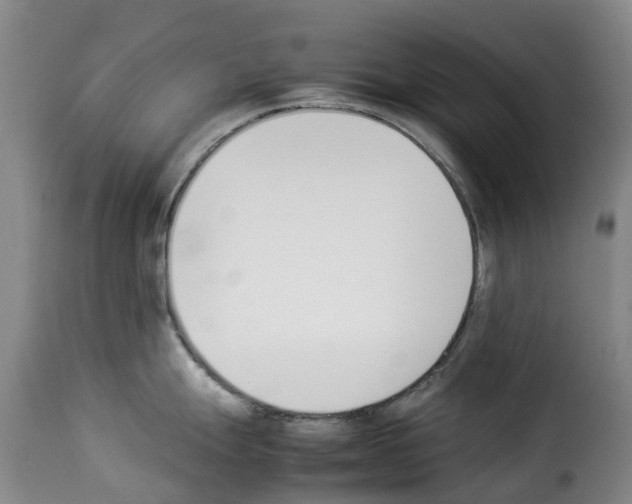X0000114231247200911201102