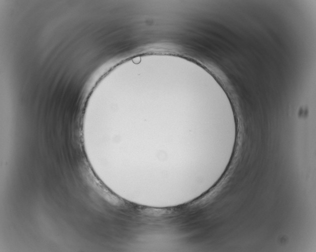 X0000114231248200911201102