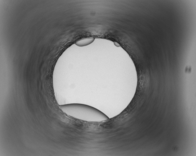 X0000114231249200911201102