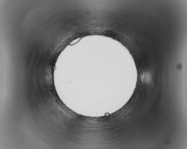 X0000114231252200911201102