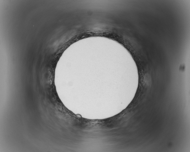 X0000114231253200911201102