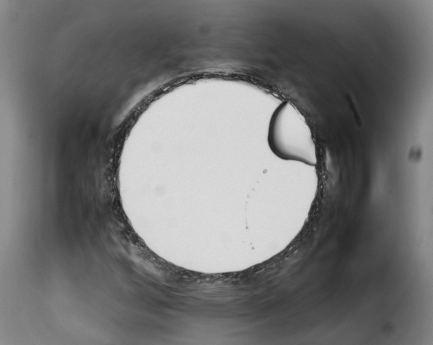 X0000114231256200911201102