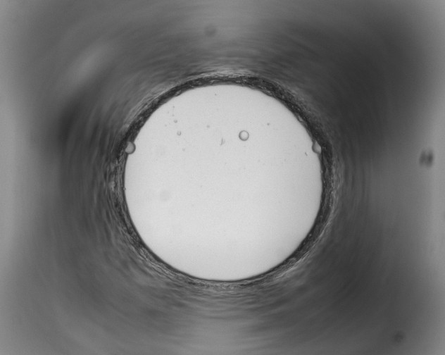 X0000114231257200911201102