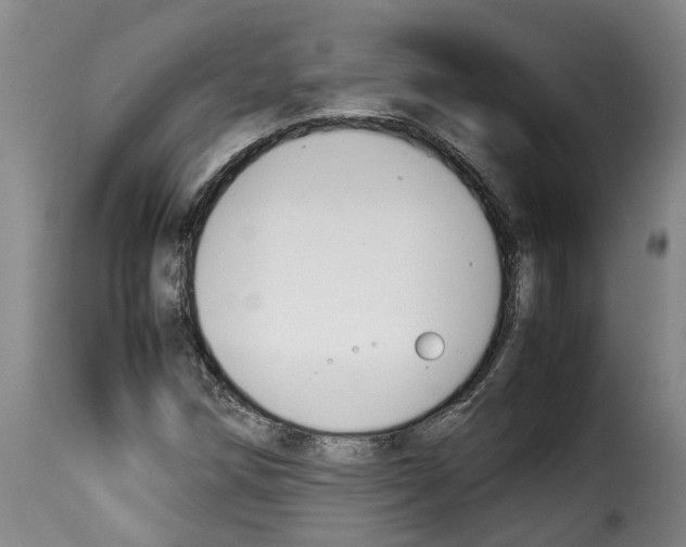X0000114231258200911201102