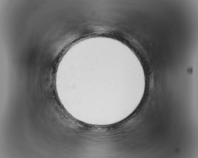 X0000114231261200911201102