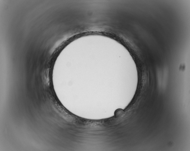 X0000114231262200911201102