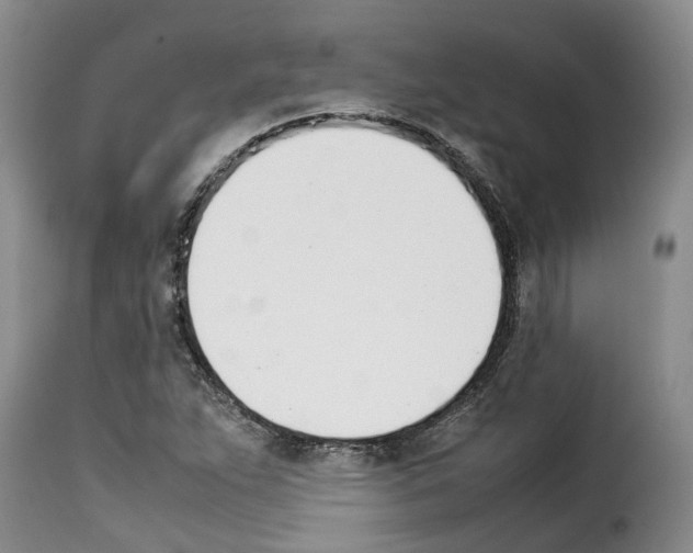 X0000114231263200911201102