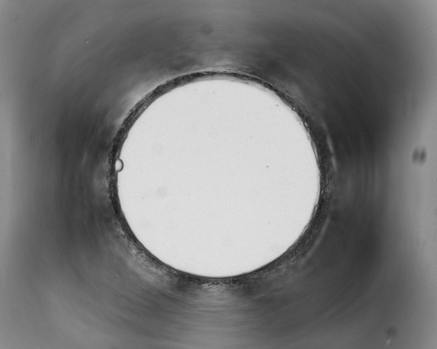 X0000114231264200911201102