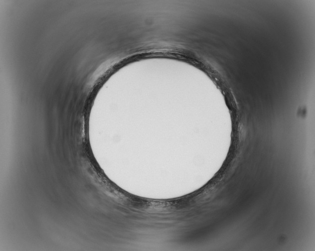 X0000114231267200911201102