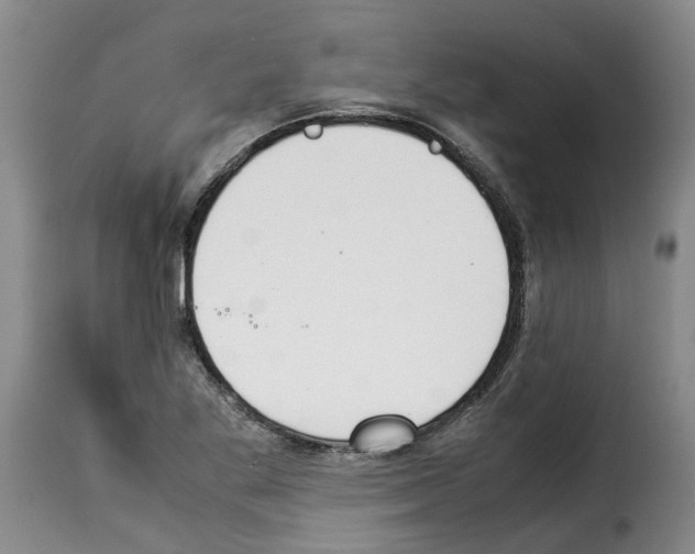 X0000114231269200911201101