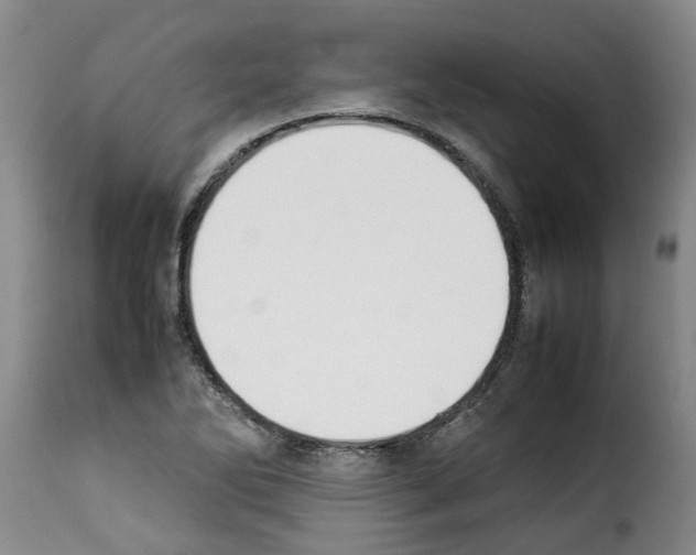X0000114231270200911201101