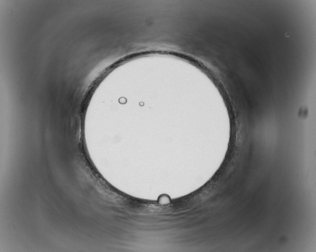 X0000114231271200911201101