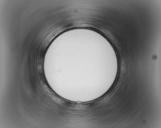X0000114231273200911201101