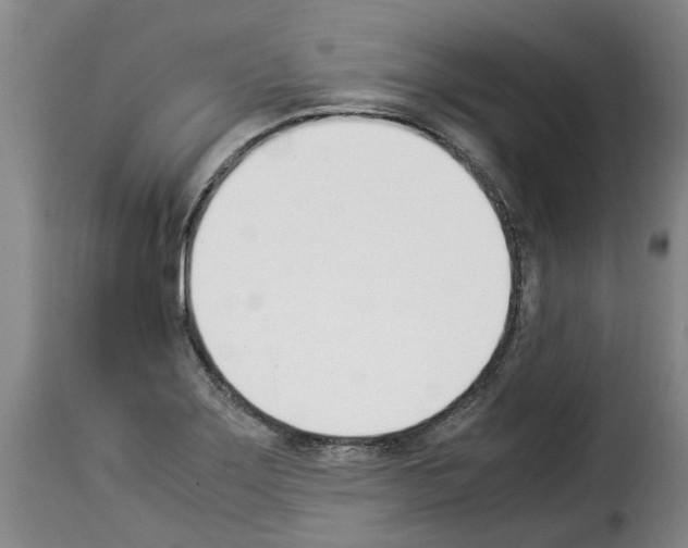 X0000114231275200911201101