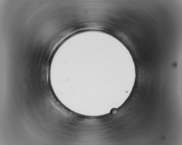 X0000114231276200911201101