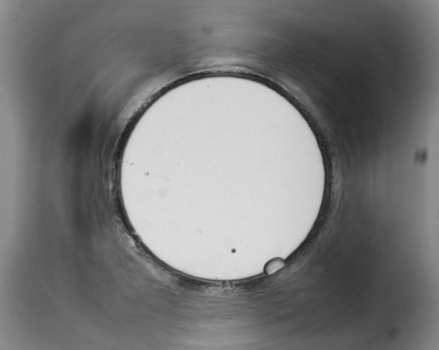X0000114231277200911201101