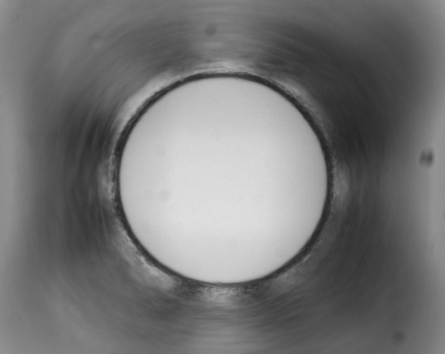 X0000114231278200911201101