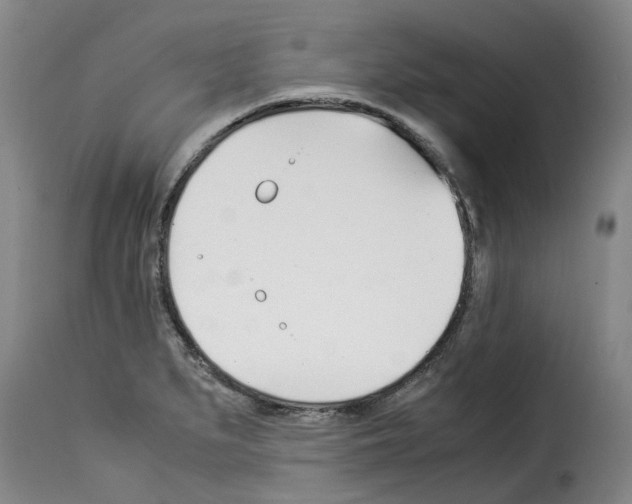 X0000114231279200911201101