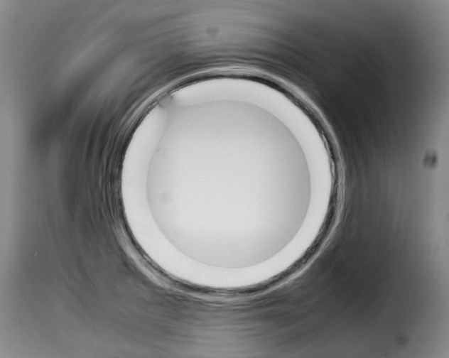 X0000114231281200911201101