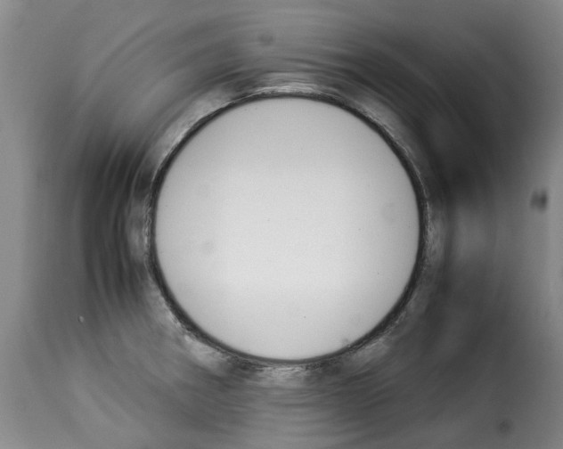 X0000114231282200911201101