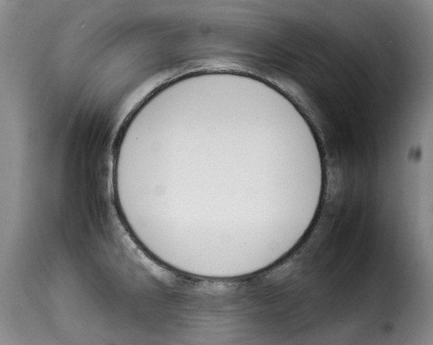 X0000114231286200911201101