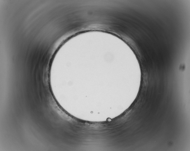 X0000114231288200911201101