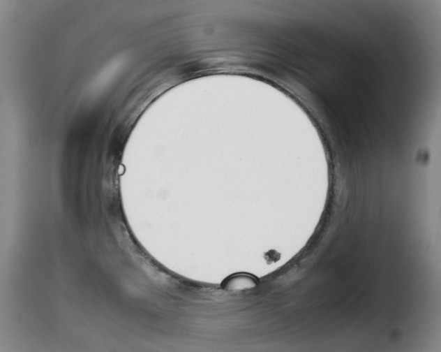 X0000114231289200911201101
