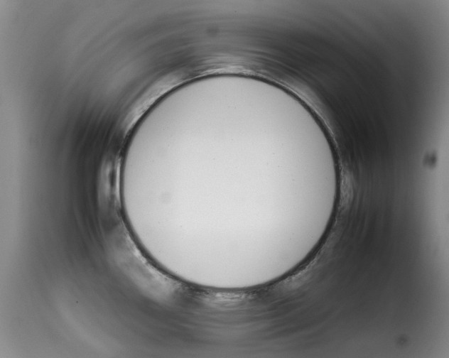 X0000114231290200911201101
