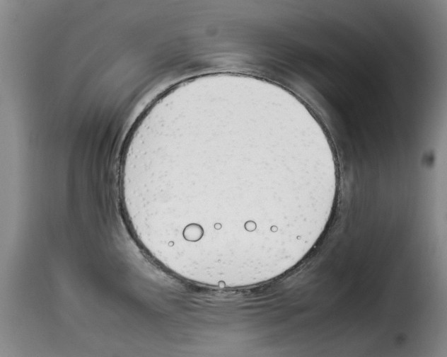 X0000114231291200911201101