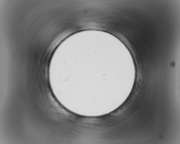 X0000114231293200911201101