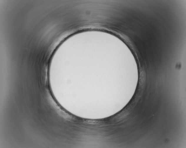 X0000114231295200911201101