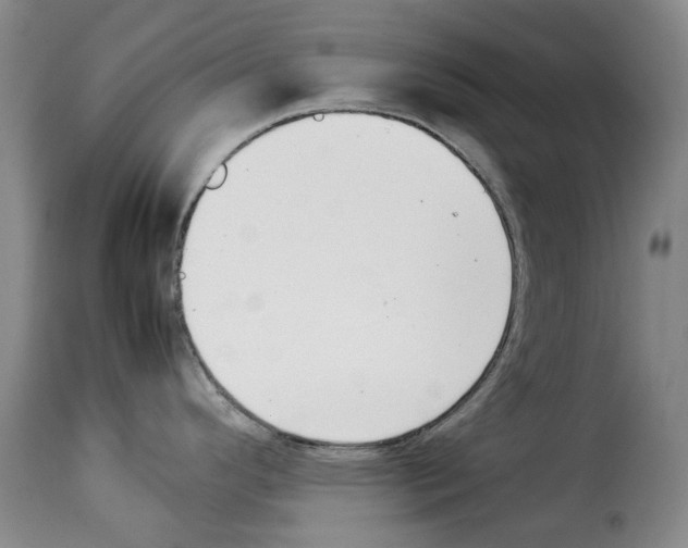 X0000114231296200911201101