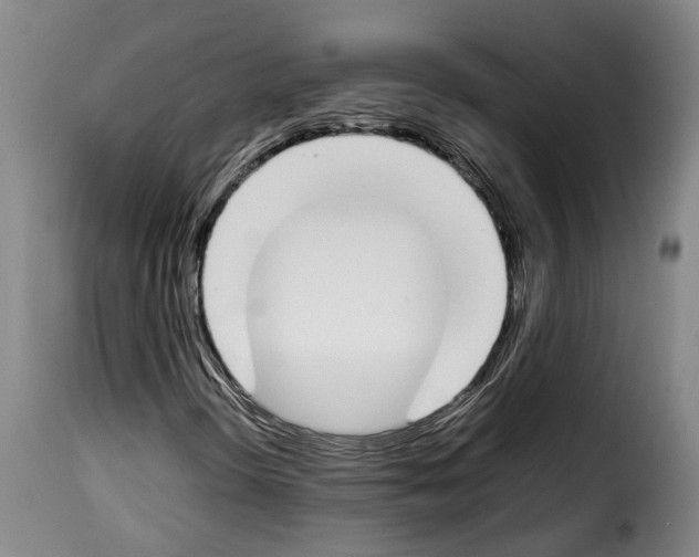 X0000114231298200911201100