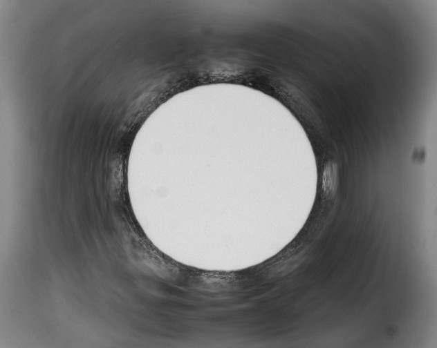 X0000114231299200911201100