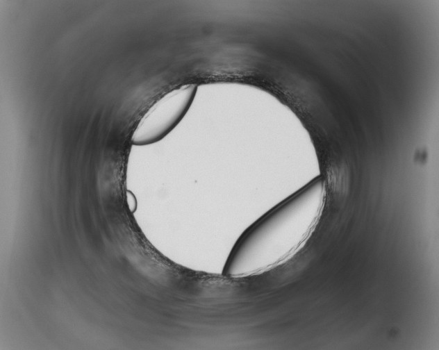 X0000114231300200911201100