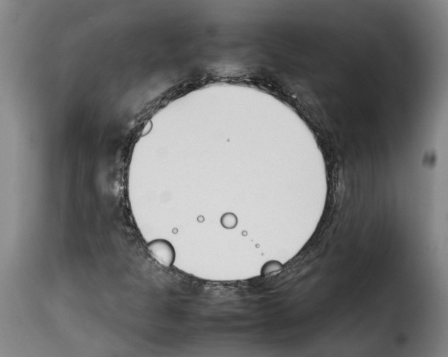 X0000114231301200911201100