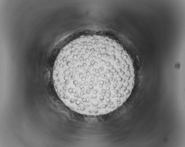 X0000114231302200911201100
