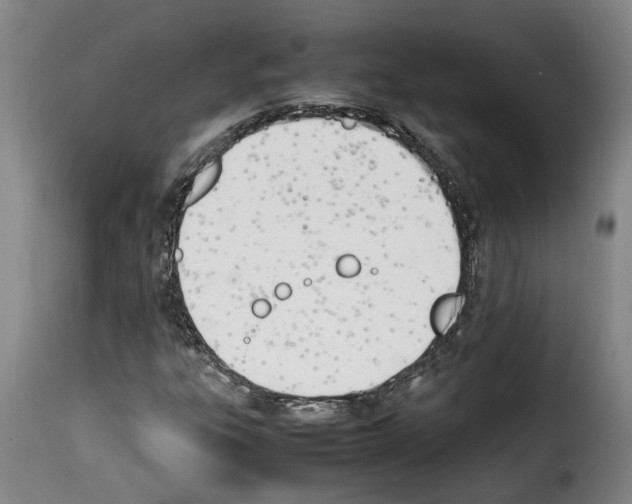 X0000114231303200911201100