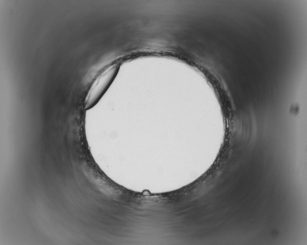 X0000114231304200911201100