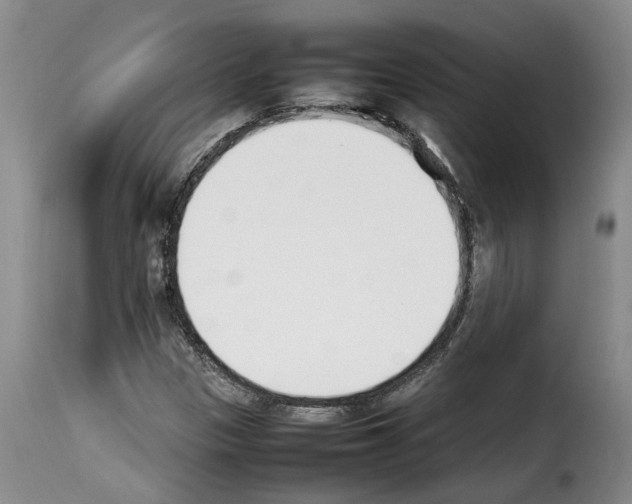 X0000114231305200911201100