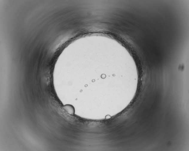X0000114231306200911201100