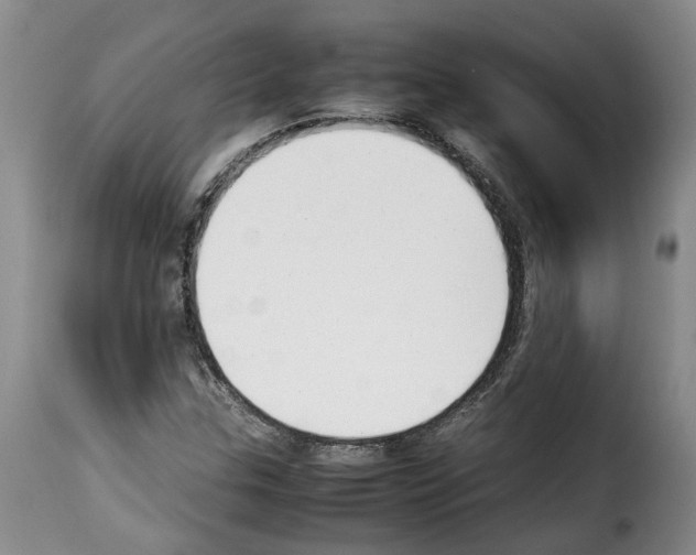 X0000114231307200911201101