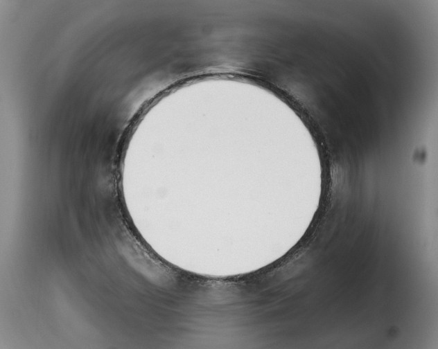 X0000114231308200911201101